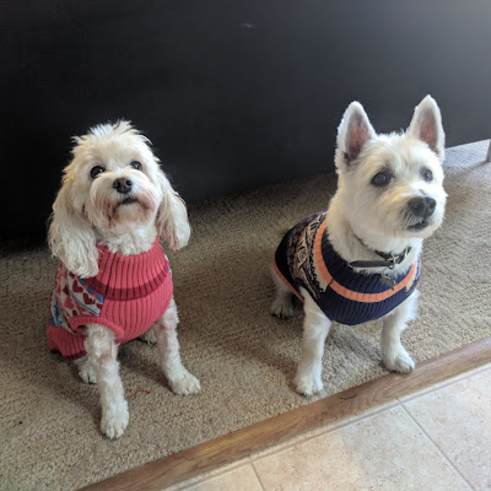 Meet your Posher, Nathan